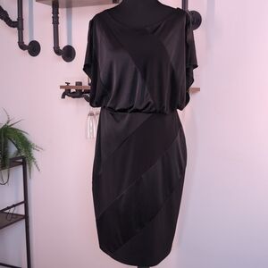 Sleek EnFocus Studio Diagonal Paneled Sheath in Black. Perfect for Office Siren